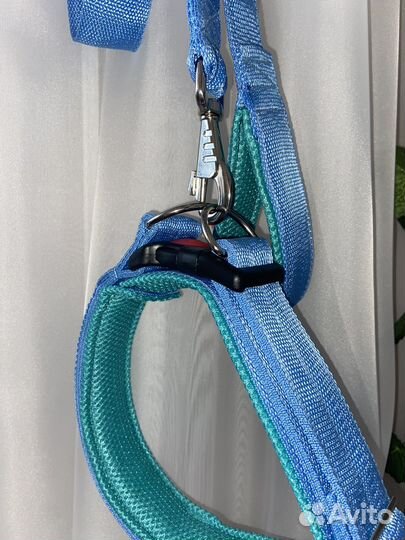 Амуниция для собак ручной работы