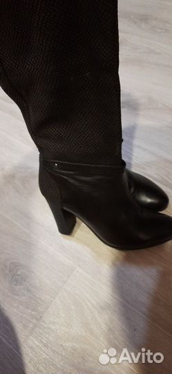 Сапоги