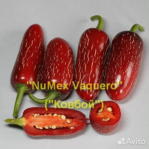 Перец пикантный NuMex - комплект из 5 сортов