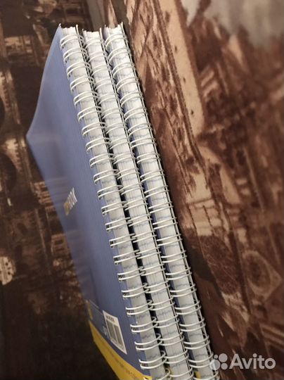 Тетради в линейку и клетку