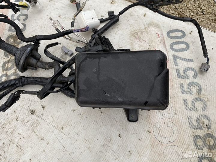 Lexus Lx570 Проводка моторного отсека