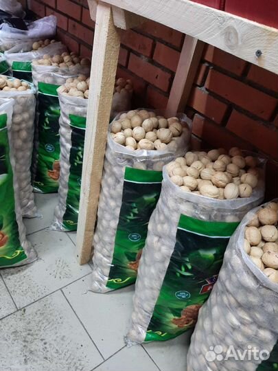 Орех грецкий