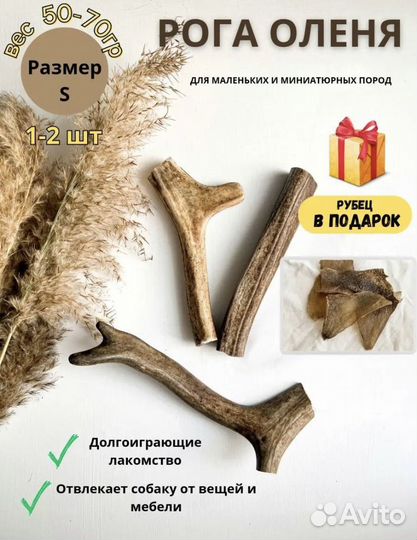 Рога оленя для маленьких собак
