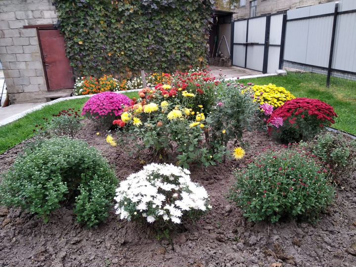 Дом 97 м² на участке 10,4 сот.