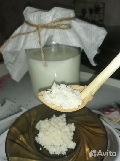 Тибетский молочный кефирный гриб