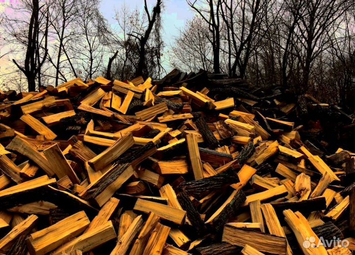 Дрова с Зеленогорска