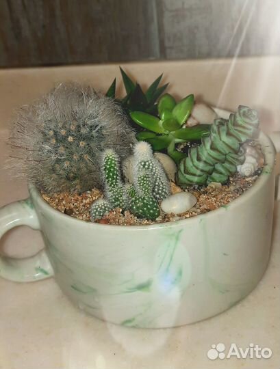 Цветочная композиция новогодняя