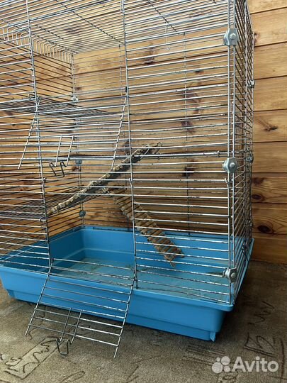Клетка для дегу 3 уровня