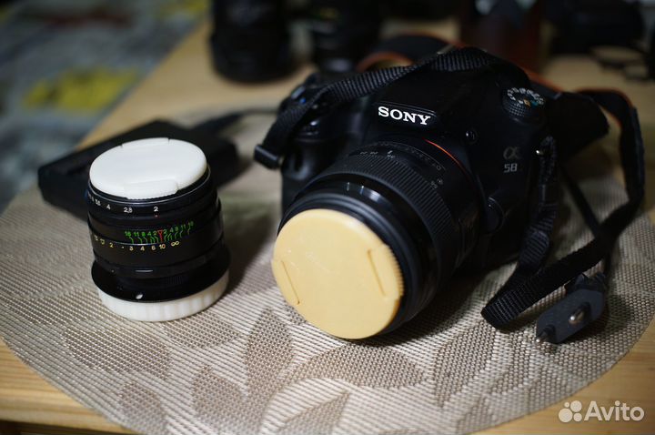 Sony A58 / SLT-A58 + Helios 44-2