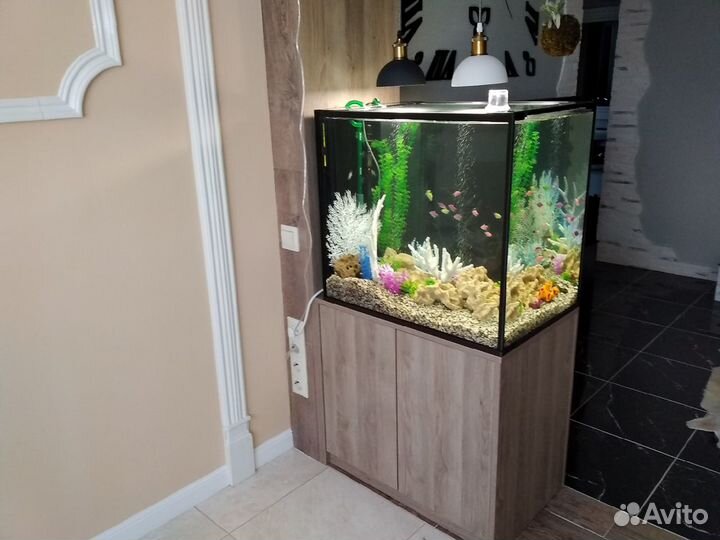 Изготовление и ремонт аквариумов