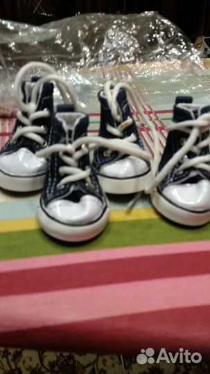 Кеды на маленькую собаку