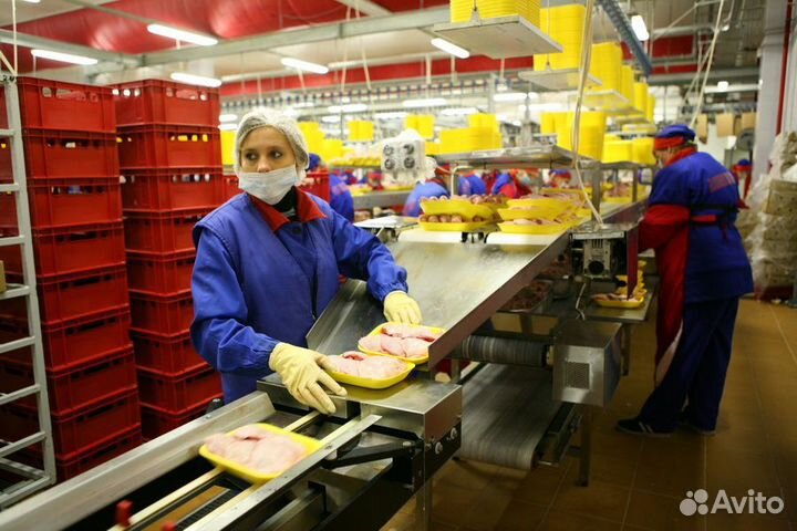 Вахта в Перми.Оператор линии без опыта