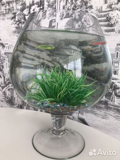 Аквариум на 5 литров