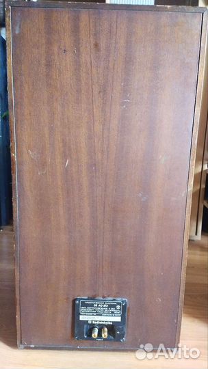 Колонки Радиотехника s90