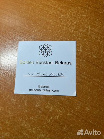 Пчелы матки