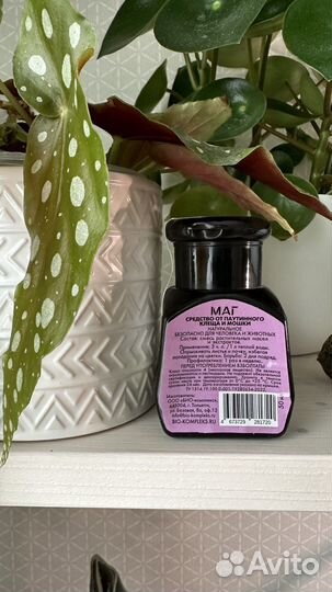 Средство от паутинного клеща