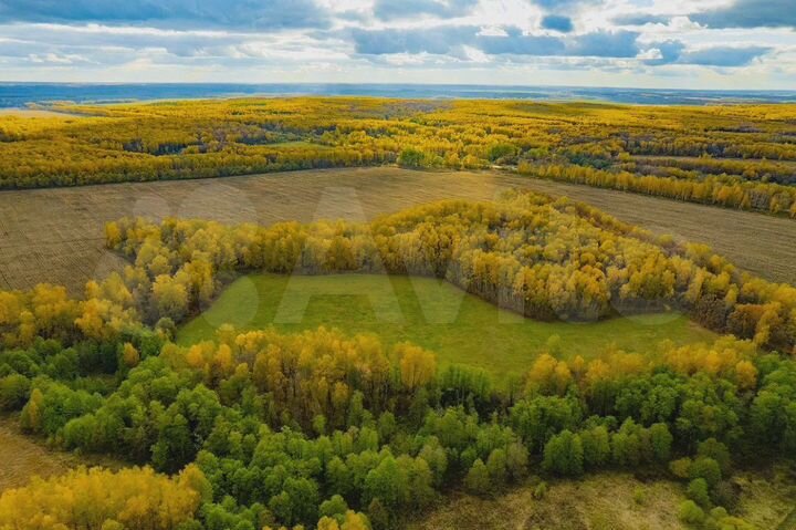 Участок 35 га (СНТ, ДНП)