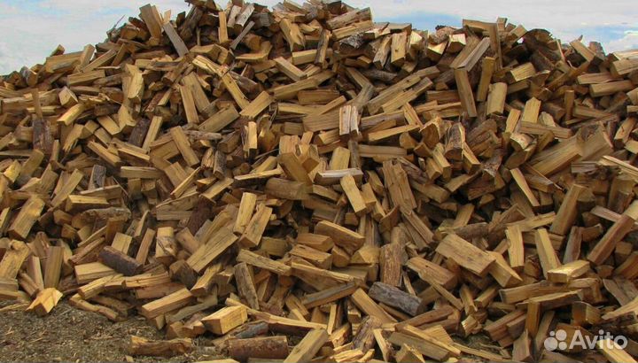 Дрова береза от производителя