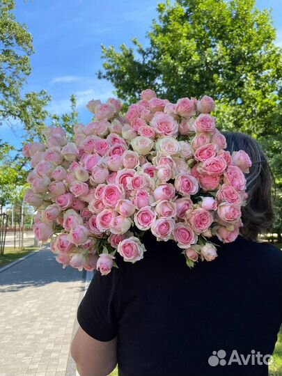 Кустовые розы 