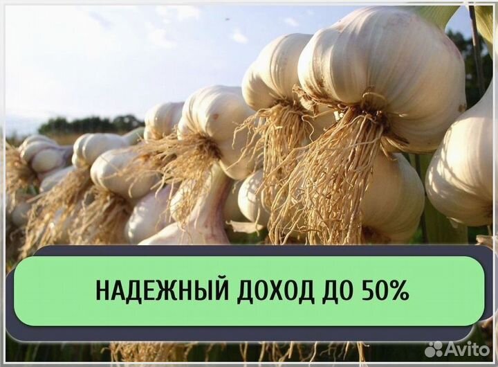 Инвестиции в готовый бизнес / Доход до 50% годовых