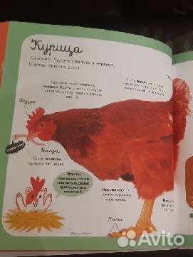 Детские книги Clever