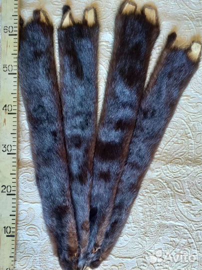 Шкуры норки