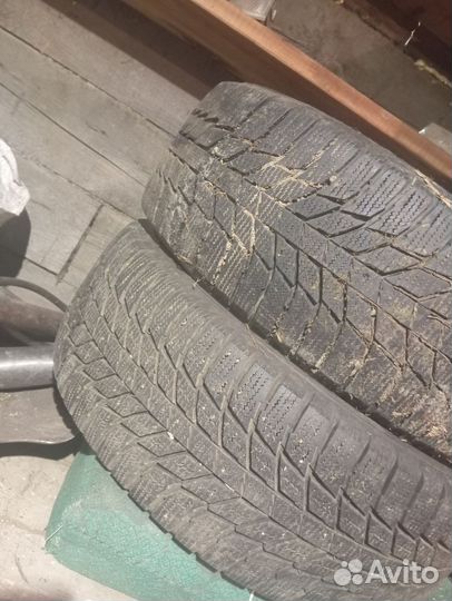 Triangle Snowlink TWT02 205/55 R16