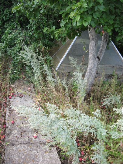 Дача 45 м² на участке 5,5 сот.