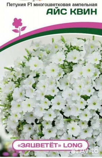 Петунья ампельная и каскадная