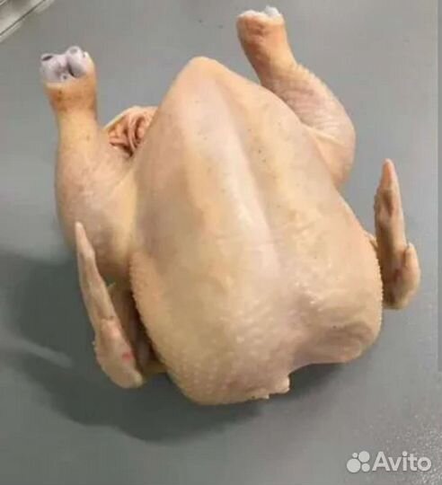 Мясо бройлера