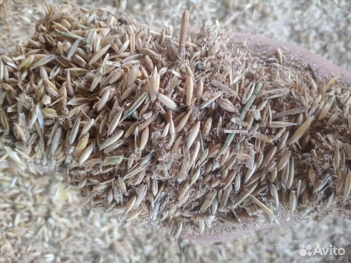 Овсяные отходы насыпью