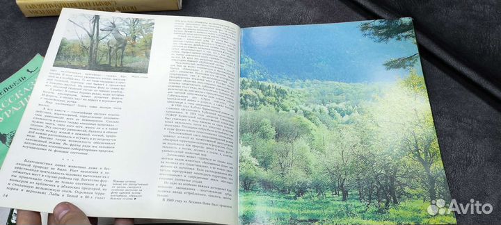 Книга По кавказскому заповеднику