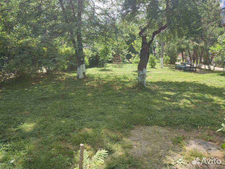 Покос травы