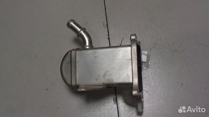 Охладитель отработанных газов Renault Scenic, 2011