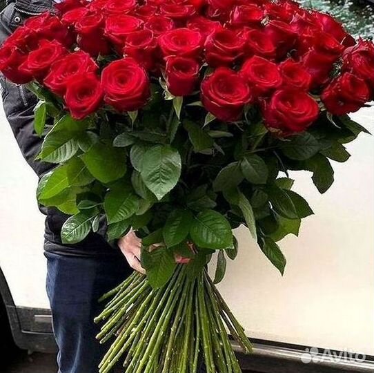 Высокие Розы с Доставкой