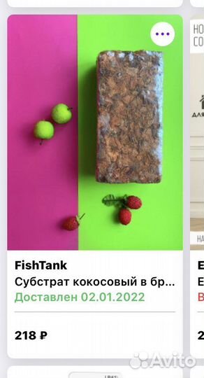 Террариум маленький