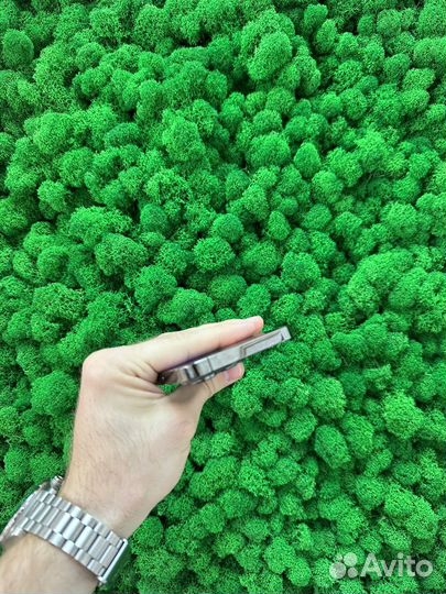 iPhone 13 Pro, 128 ГБ