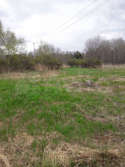 Участок 20 сот. (СНТ, ДНП)