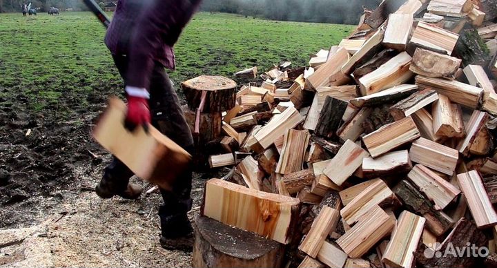 Дрова подсушенные