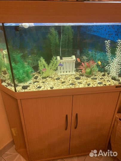 Аквариум угловой с тумбой на 150 литров Германия
