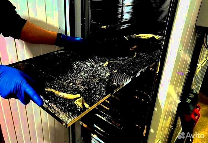 Говяжье легкое и рубец (Арт04Апр)