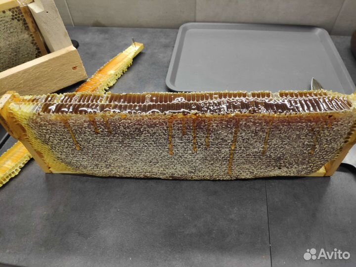 Алтайский мёд круглый год