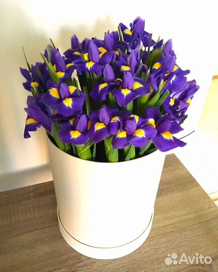 Композиции из Свежих Ирисов. Доставка Цветов