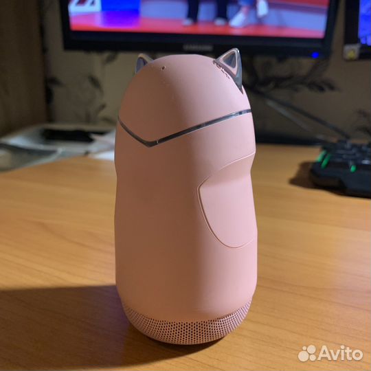 Колонка котик