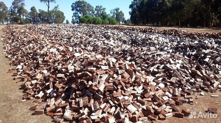 Дрова с Зеленогорска