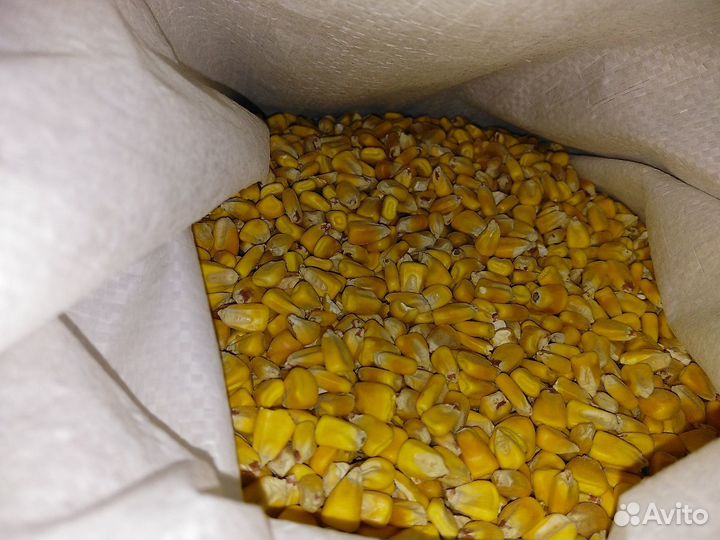 Кукуруза.Корм.10и25кг