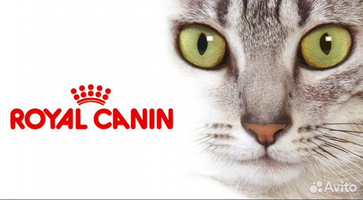Royal Canin Роял Про корм для кошек Большие мешки
