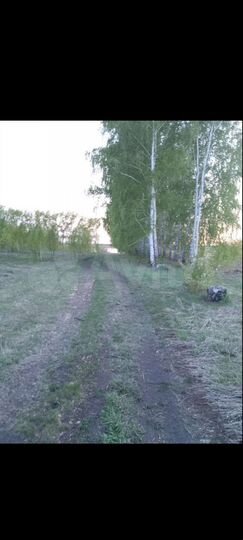 Участок 6,8 сот. (ИЖС)