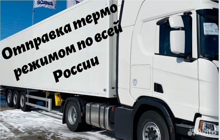 Икра кеты/горбуши оптом