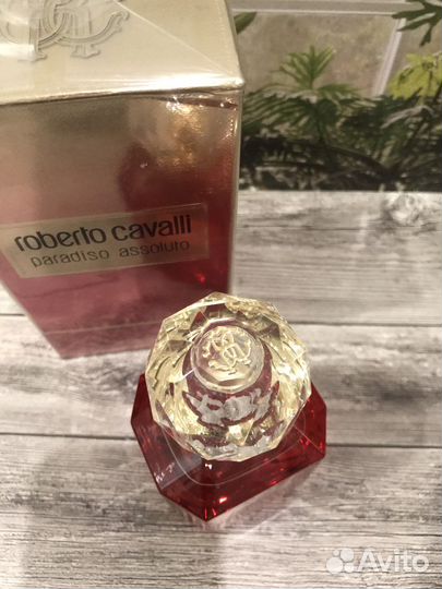 Roberto cavalli paradiso assoluto